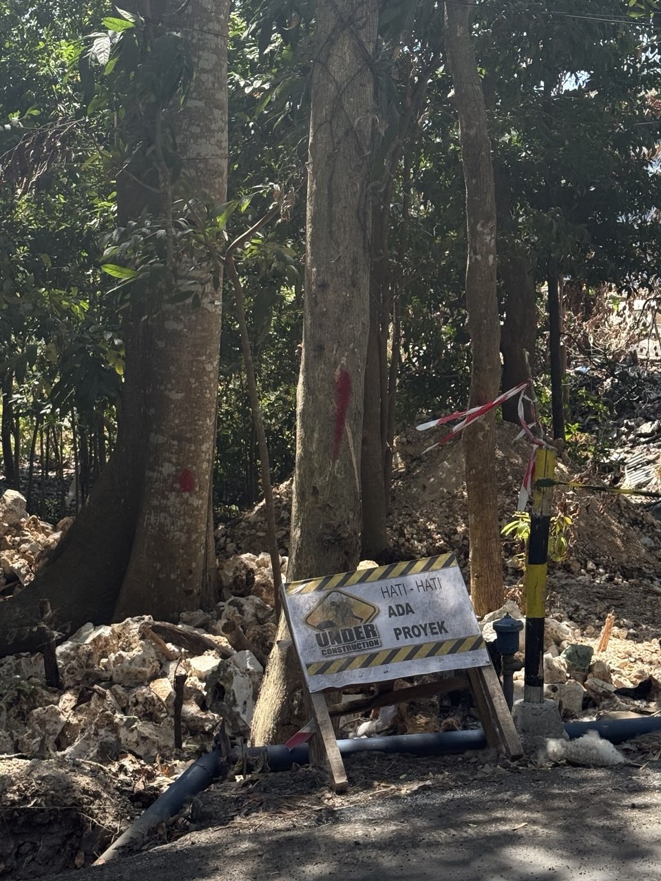 A cleared construction site cut into the forest, warning tape visible