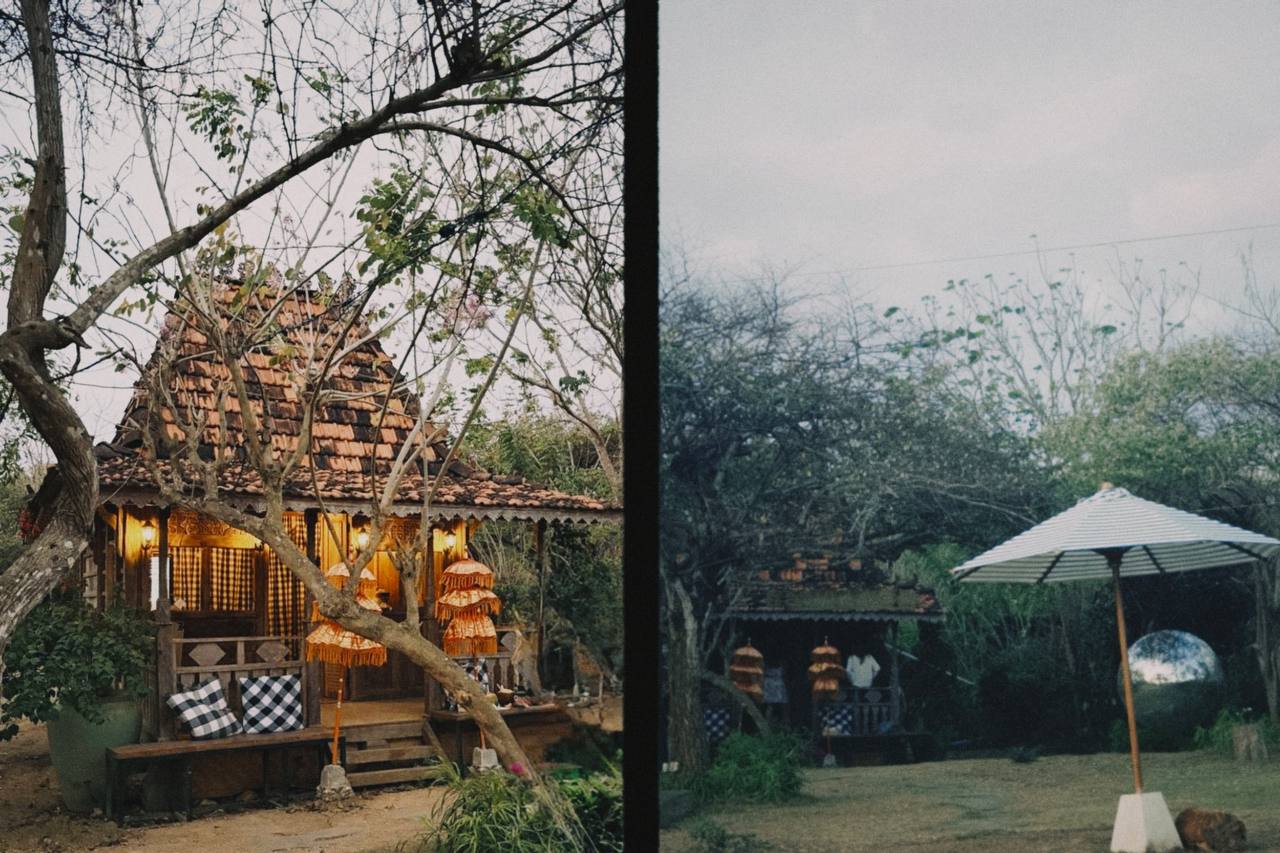 Split image: a wooden A-frame house among trees, and a misty garden