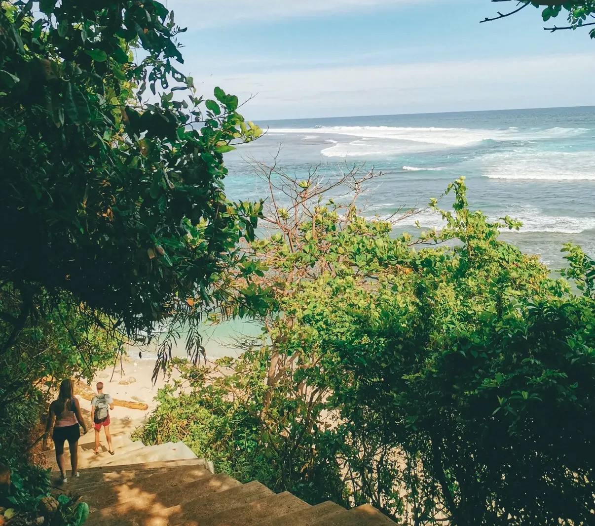 A green jungle staircase leading down toward a beach and waves