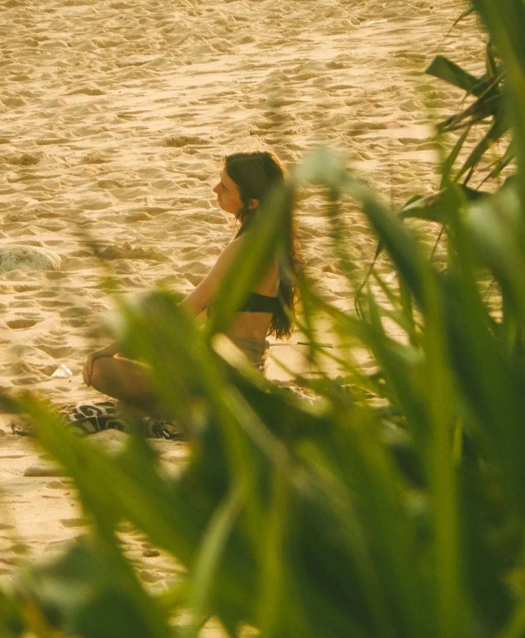 Woman sitting on sand seen through foreground grass and leaves