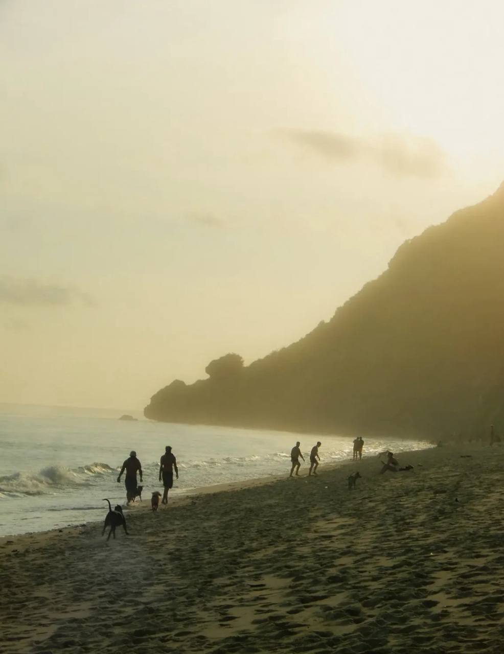 Silhouettes of people walking along a beach at golden-hour sunset